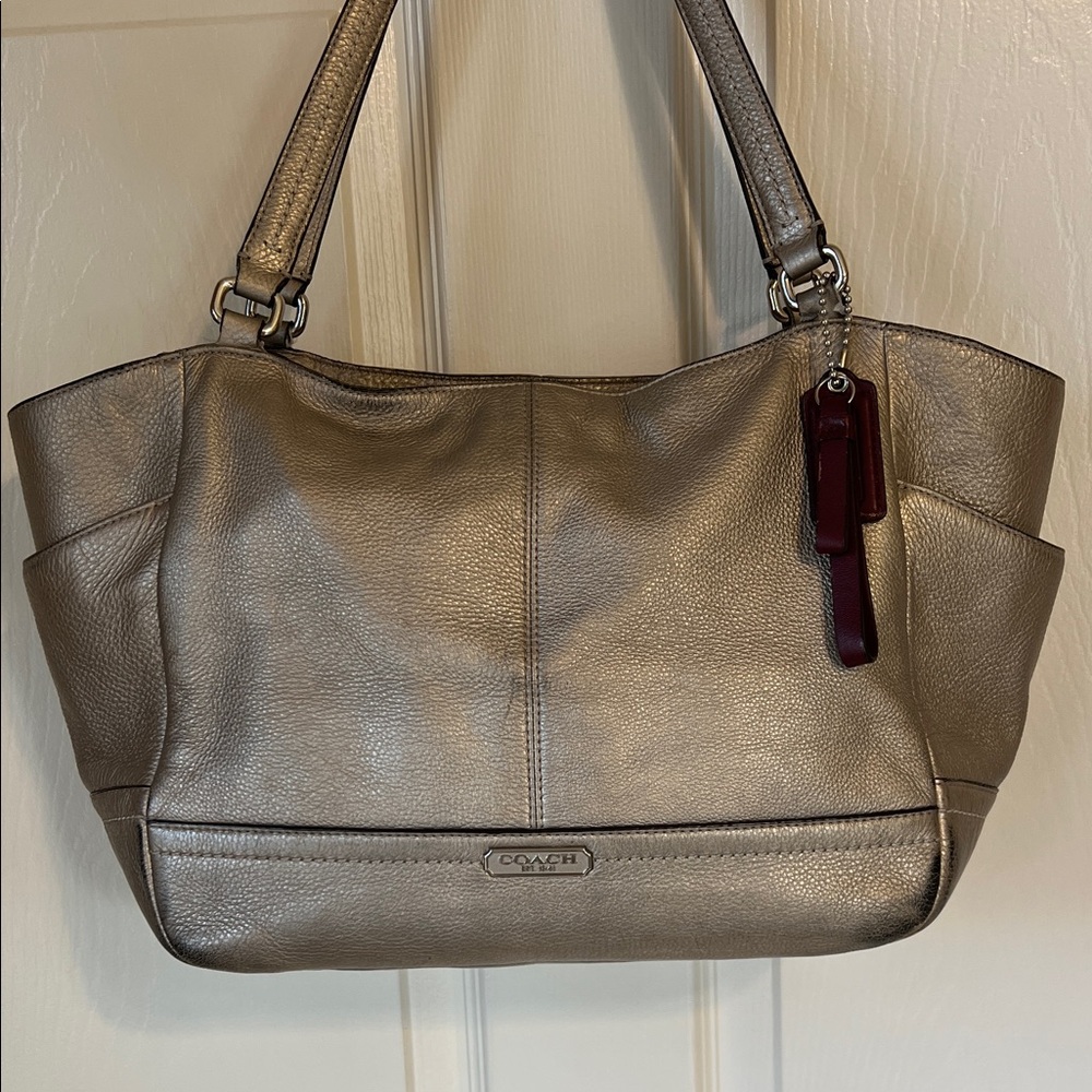 Coach Park Leather Carrie Tote Bag